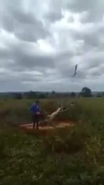 Shouldn't have cut down that tree my man