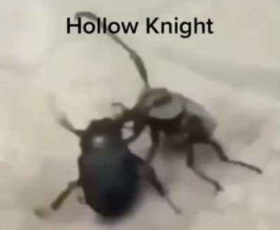 Top 10 mejores peleas del multiverso del shitpost: