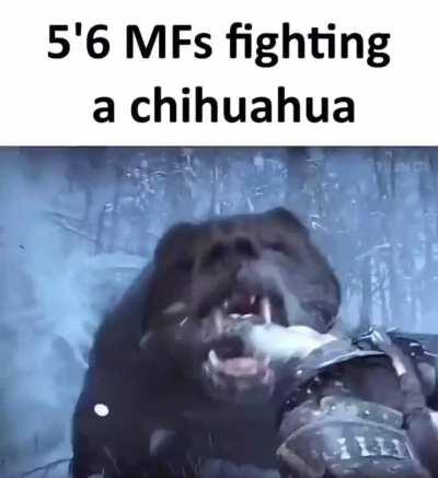 short kings (glory to spez)