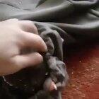 Just a normal beanbag post, nothing to see here folks