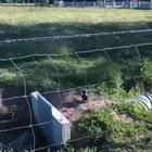 My school teachers stepping on my grades.