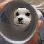 I'm in love, again and again