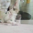 Wait!!! Are You Filming me?? :)