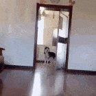 Am I doing this right?