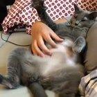 Yep that’s the spot