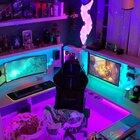 So I thought I share this video I also took of the lights on how I can control them from my phone and this awesome whale moving background!