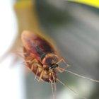 Thanks, I hate hands.