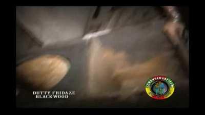 Jamaican dacnehalls are a wild place