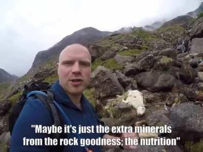 Fresh Mountain Water