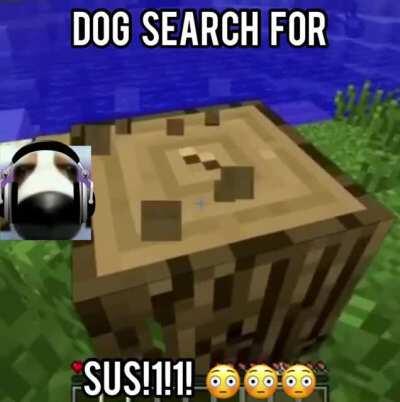 dog moment when sus!1!!1 😳😳😳