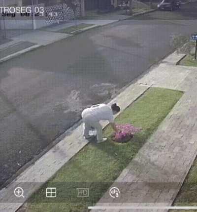 She could have just asked, and we'd happily give her a stem cutting!