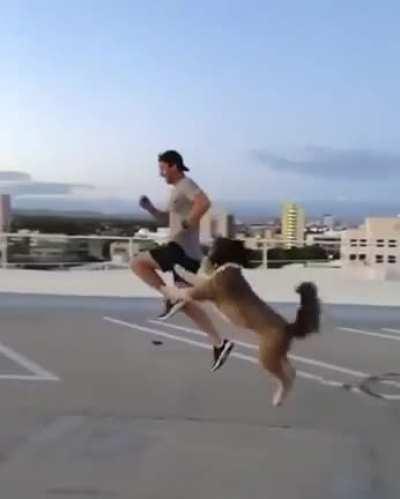 He have no idea what’s going on just excited to be involved.