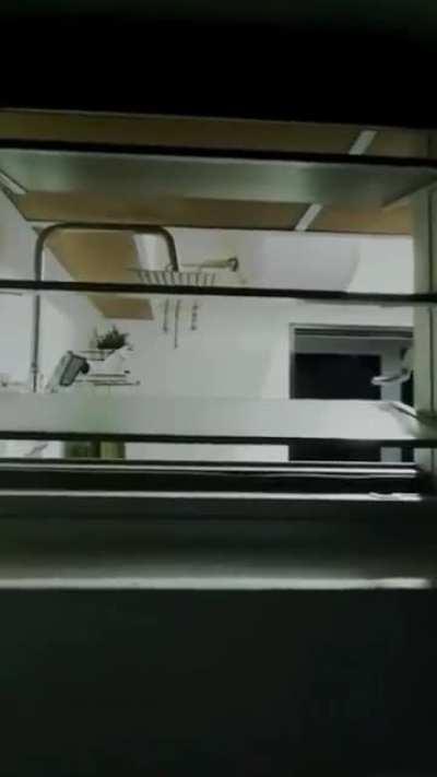 staged but still shivering