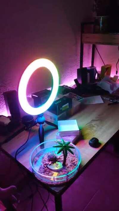 Que apoco no tienen Luz XD, pobrecitos