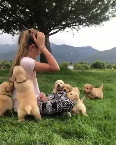 Cute animals to brighten your day