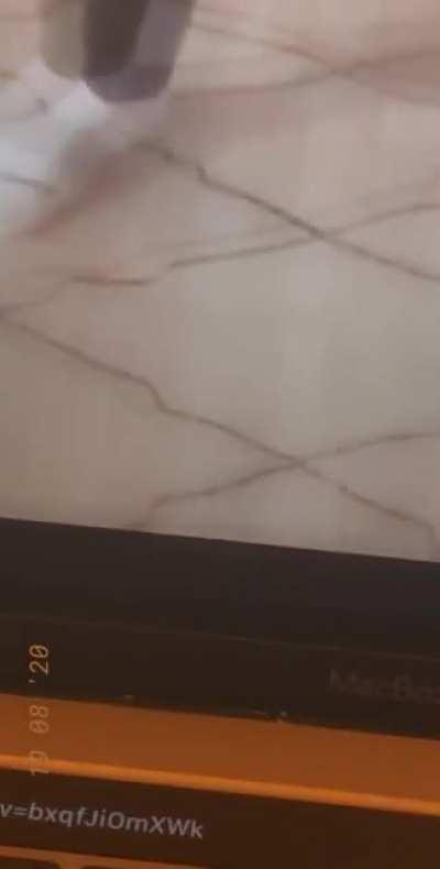 WHY DID IT CARESS LIKE THAT