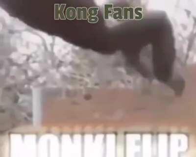 MONKE GANG