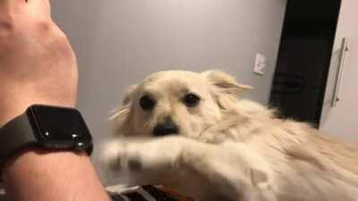 Keep it going, human.