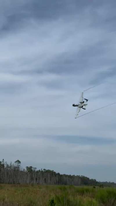 A-10 Warthog flying close to tree tops