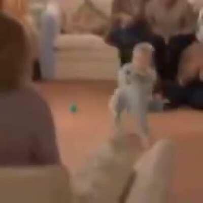 You will shit bricks when you see it!