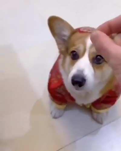 Are these air fried? I can barely taste them