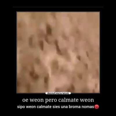 Terrible maraco 🤮😡