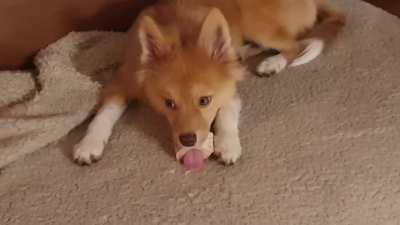 When the marrow is all gone..