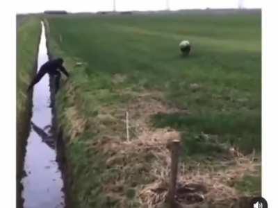 MaN FiNaLLy ReScUeS GoAt