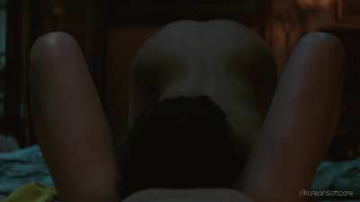 The Handmaiden (2016)