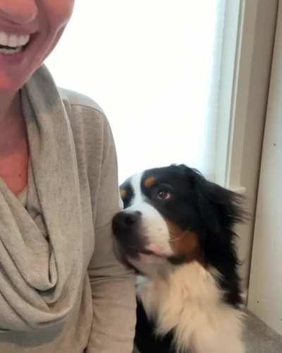 Just Want A Cuddle...