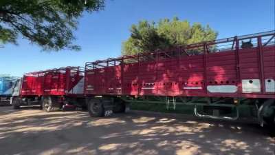 Un productor rural realizó un operativo histórico y trasladó más de 130 caballos rescatados del abandono desde Castelli hasta Pila para darles una mejor vida