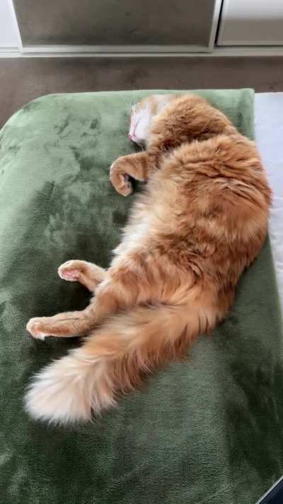 Your bed is so cozy, mom