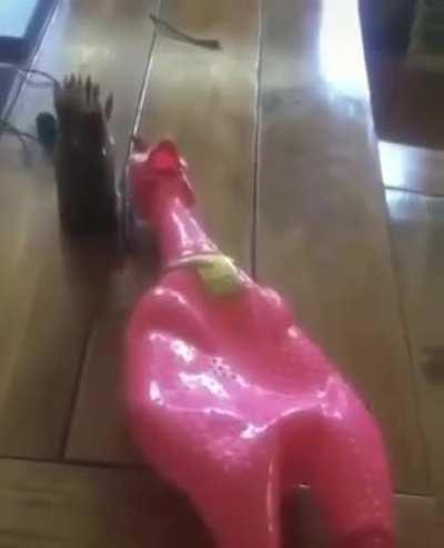 I present to you: The world's longest perfectly cut scream