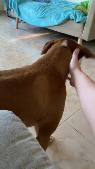 Almost cartoonish dramatic head turn