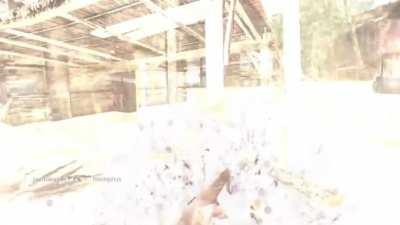 [MW3] How it feels to chew 5 gum