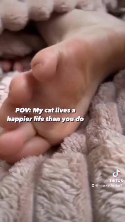 Are you officially jealous of a cat?