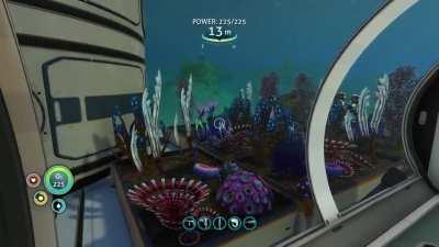 Expanded my Coral Sanctuary in the Safe Shallows (PS4 Hardcore)