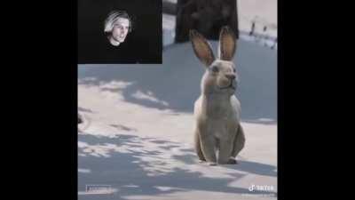 Las pibas vs los pibardos refacheros