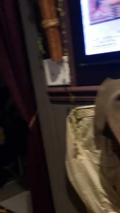 Decided to build a Home Theater. accidentally built a museum .