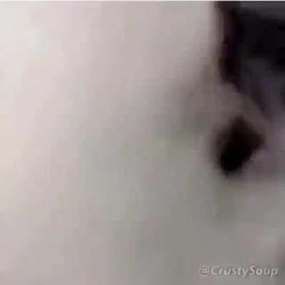 Upvote so charmx see