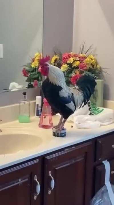 I have several questions