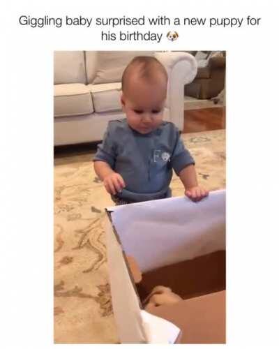 Baby surprised with new puppy for birthday