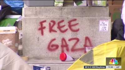 Oakland teacher fired for wearing ‘Free Palestine' pin