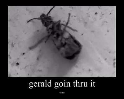 playboi gerald⁉️