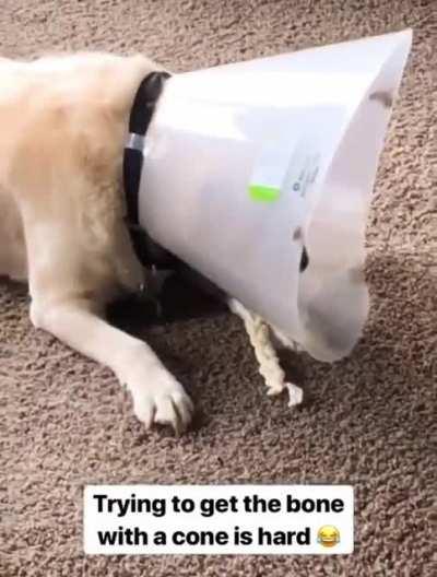 MUST GET BONE BUT HOW