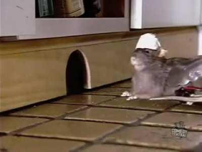 What the fuck did I just watch