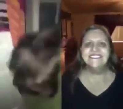 Sai porfavooor saaaaii