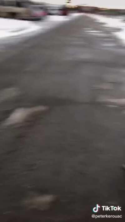 “Ya’ll literally got 3 more days to wake up to reality” says a man to a group of Trump supporters