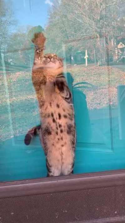 Hunting the bug 😁