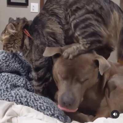 Is this normal?? 😂